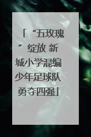 “五玫瑰”绽放 新城小学混编少年足球队勇夺四强
